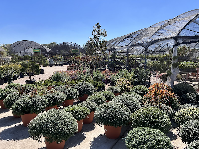 Bruce Miller Nursery