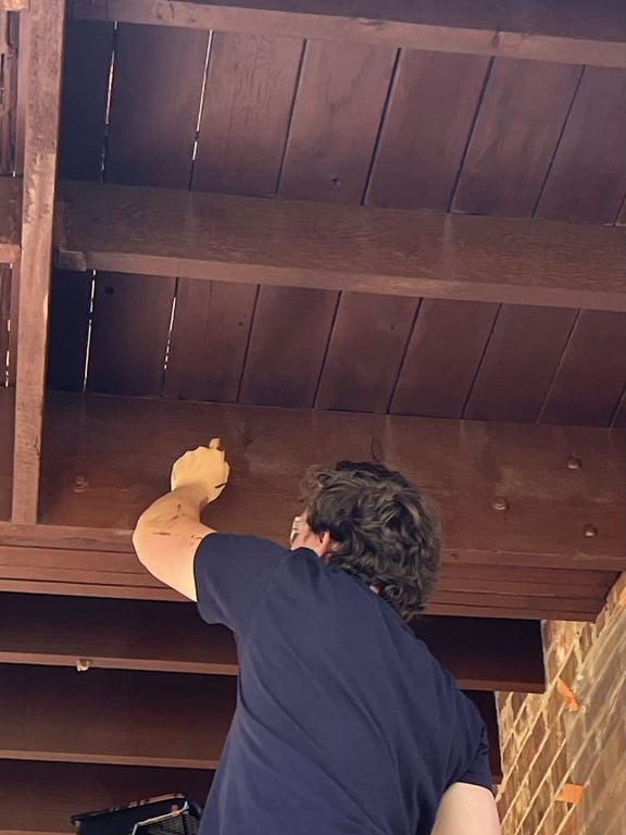 Pure Coat Painting