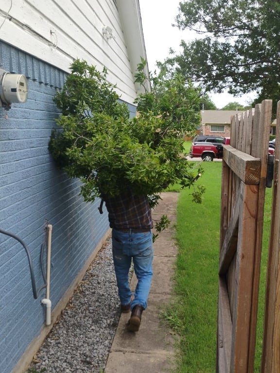 Todd Fence And Gate Repair