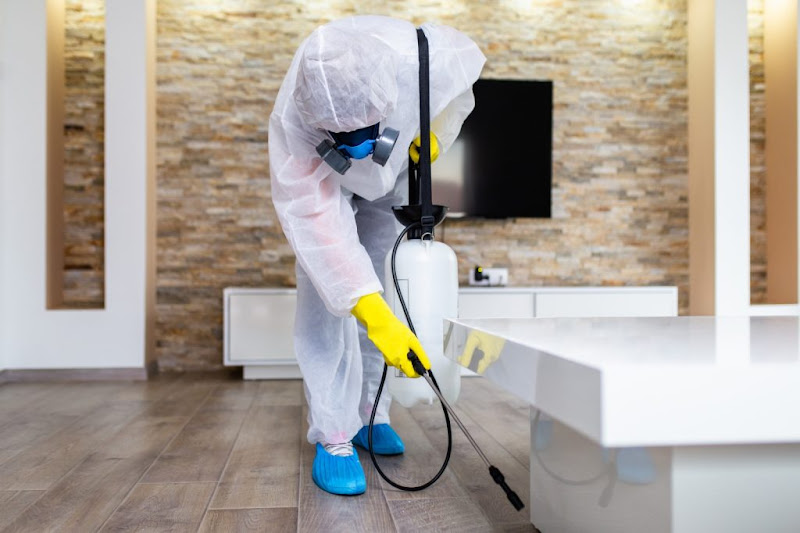 Home Spa Services ( couches , drapes and rugs cleaning)