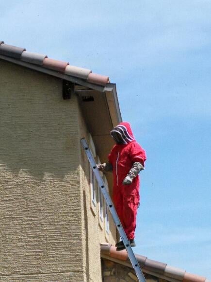 Xpert Pest Solutions