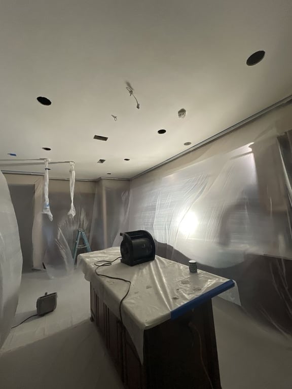 Professional Drywall and Painting