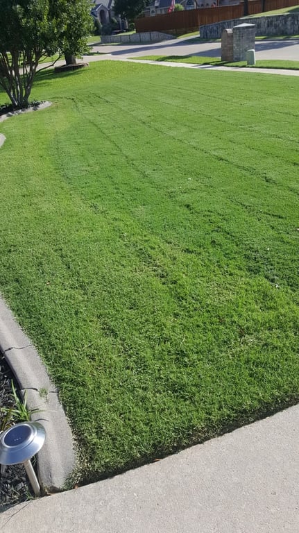 Arboreal Lawn & Landscape