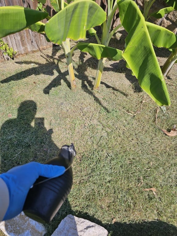 Lion’s Den Pest Control