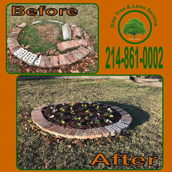 Diaz Tree & Lawn Service