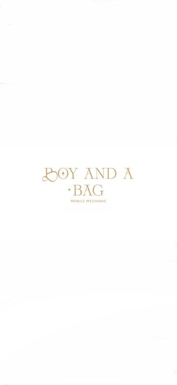 Boy And A Bag