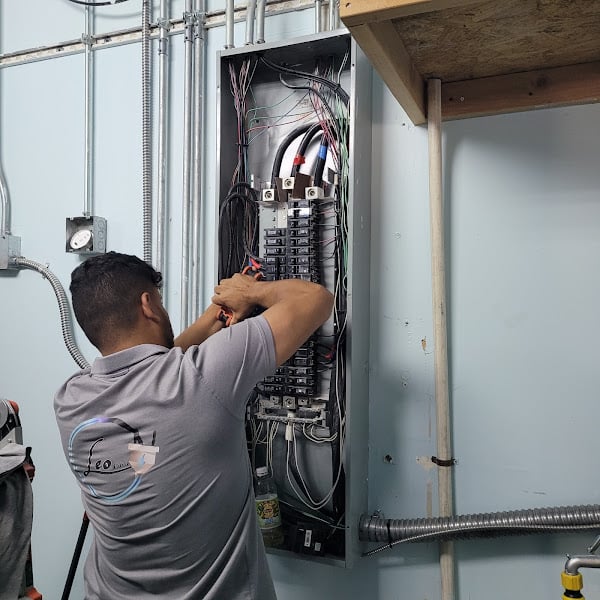 Leo electric services