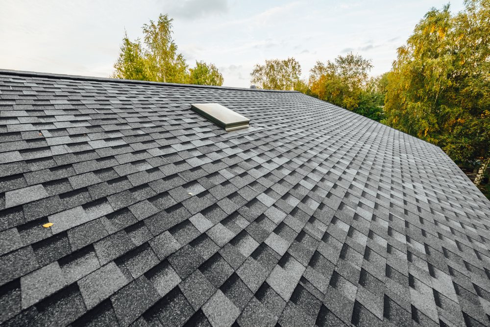 Bumble Roofing