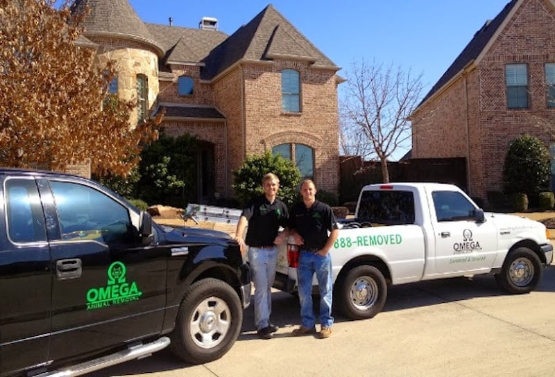 Omega Animal Removal Dallas