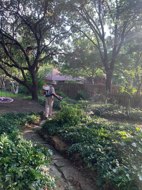 Mosquito and Pest Pros