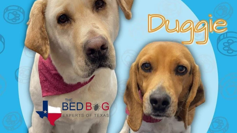 The Bed Bug Experts of Texas LLC | Best Bed Bug Treatment in Dallas, TX