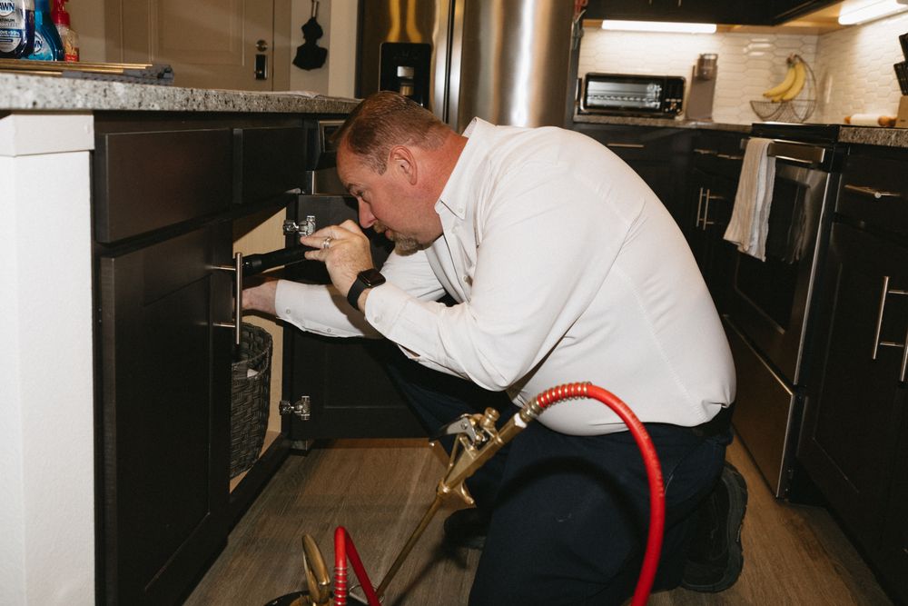 Big D Pest & Termite Services