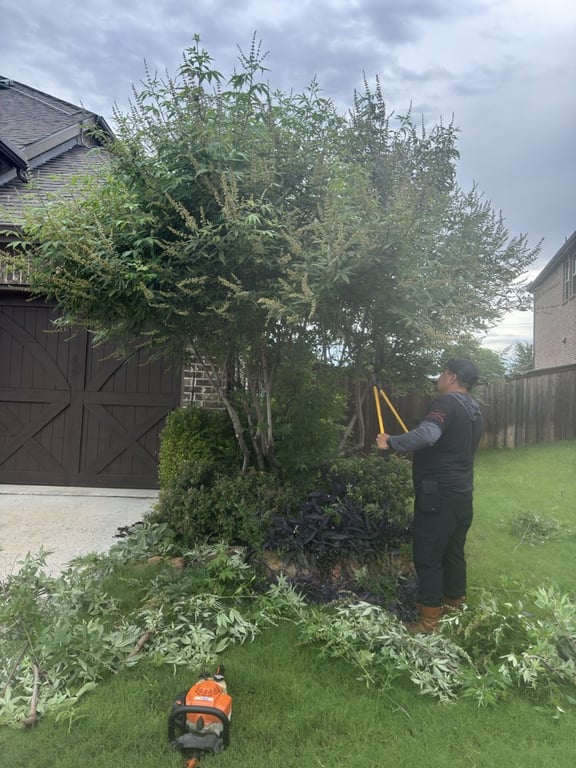 Vasquez lawn service