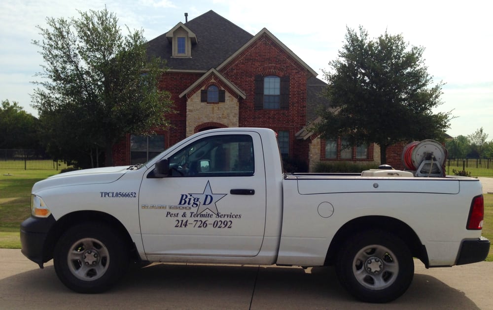 Big D Pest & Termite Services