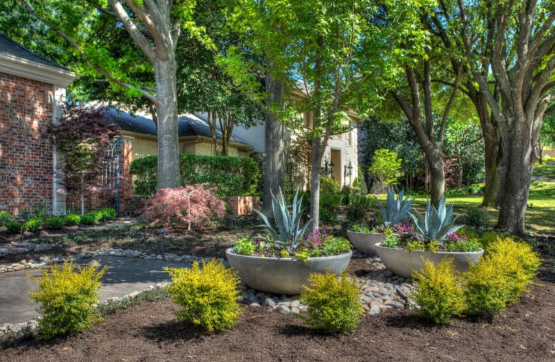 Clients First Landscape Solutions