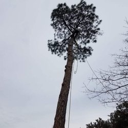 L & T Landscaping