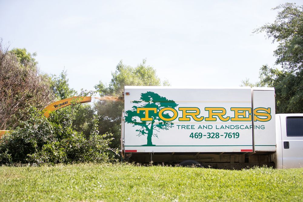 Torres Tree Service