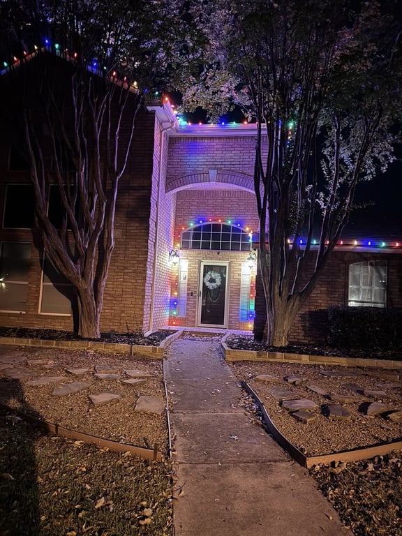 Elfs Christmas Lights