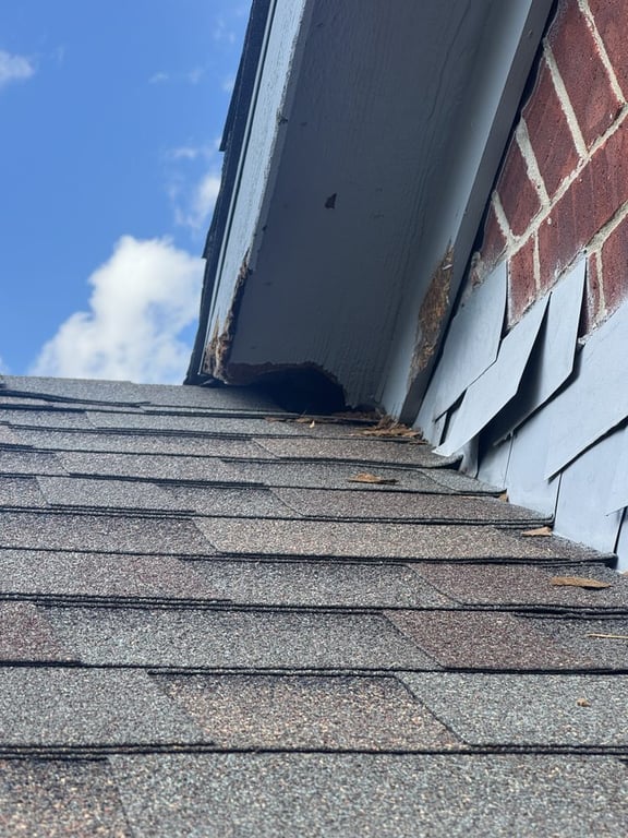 Yeyo’s Insulation & Pest Control