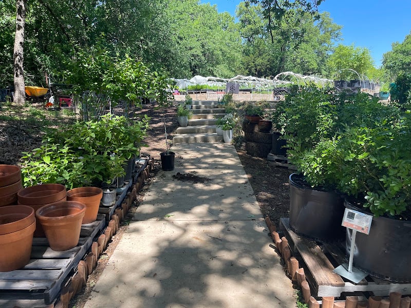 Native Gardeners