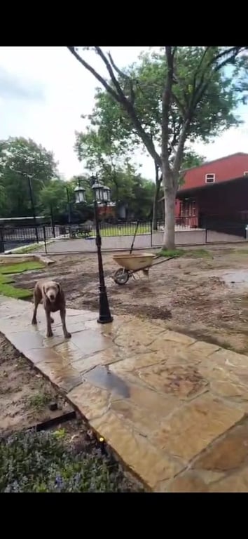 J&J Sod Company
