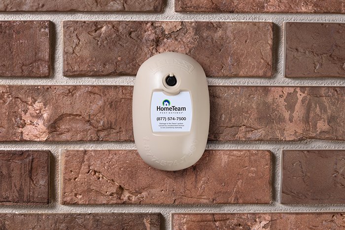 HomeTeam Pest Defense