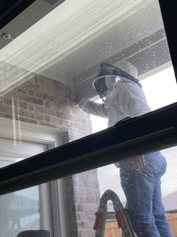 Little Giant Beekeepers & Bee Removal Specialists