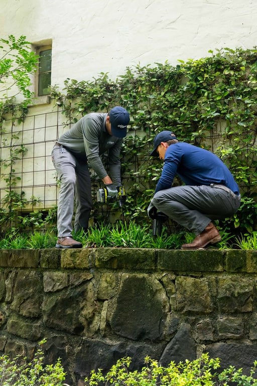Haven Pest Solutions