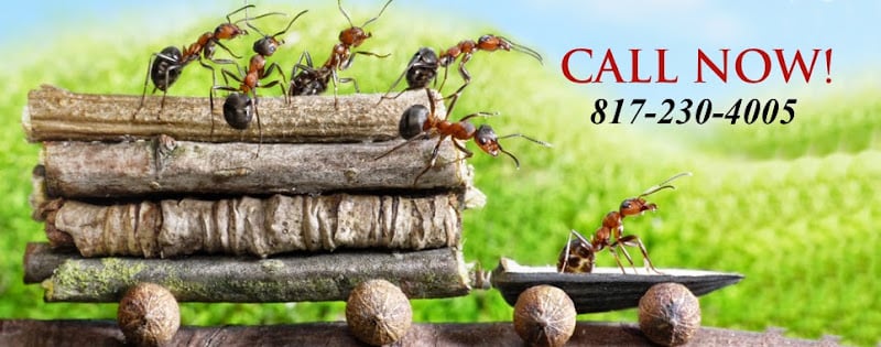Sniper Termite and Pest Control Fort Worth