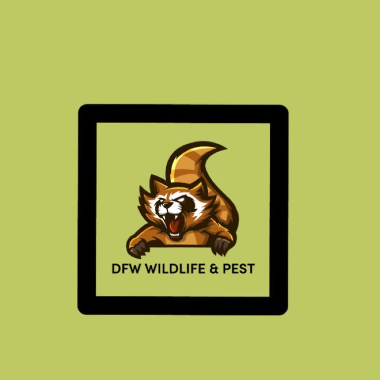 DFW Wildlife And Pest Control