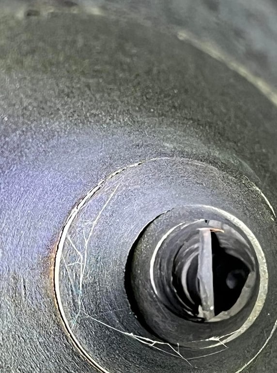 Piedmont Duct Cleaning