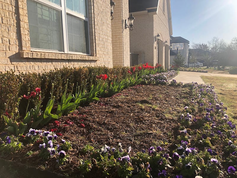 TLC The Landscape Company, LLC