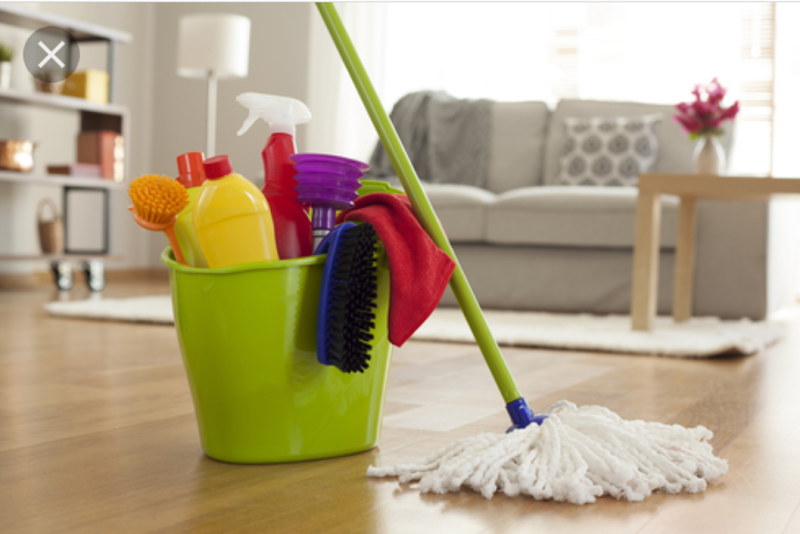 nerys cleaning co