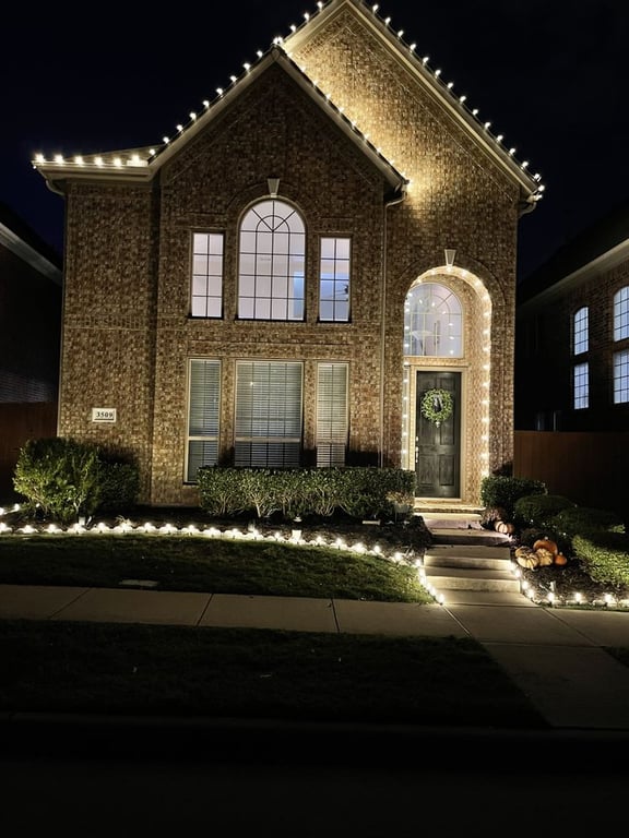 Elfs Christmas Lights