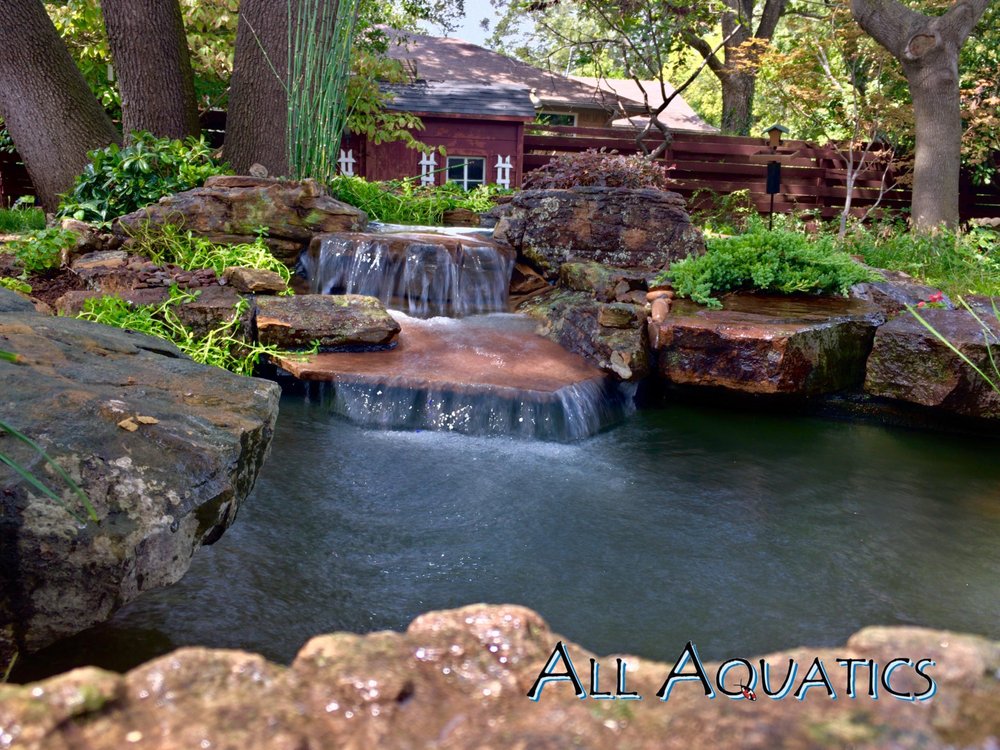 All Aquatics