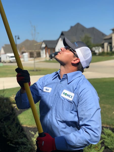 Romex Pest & Termite Control Lewisville