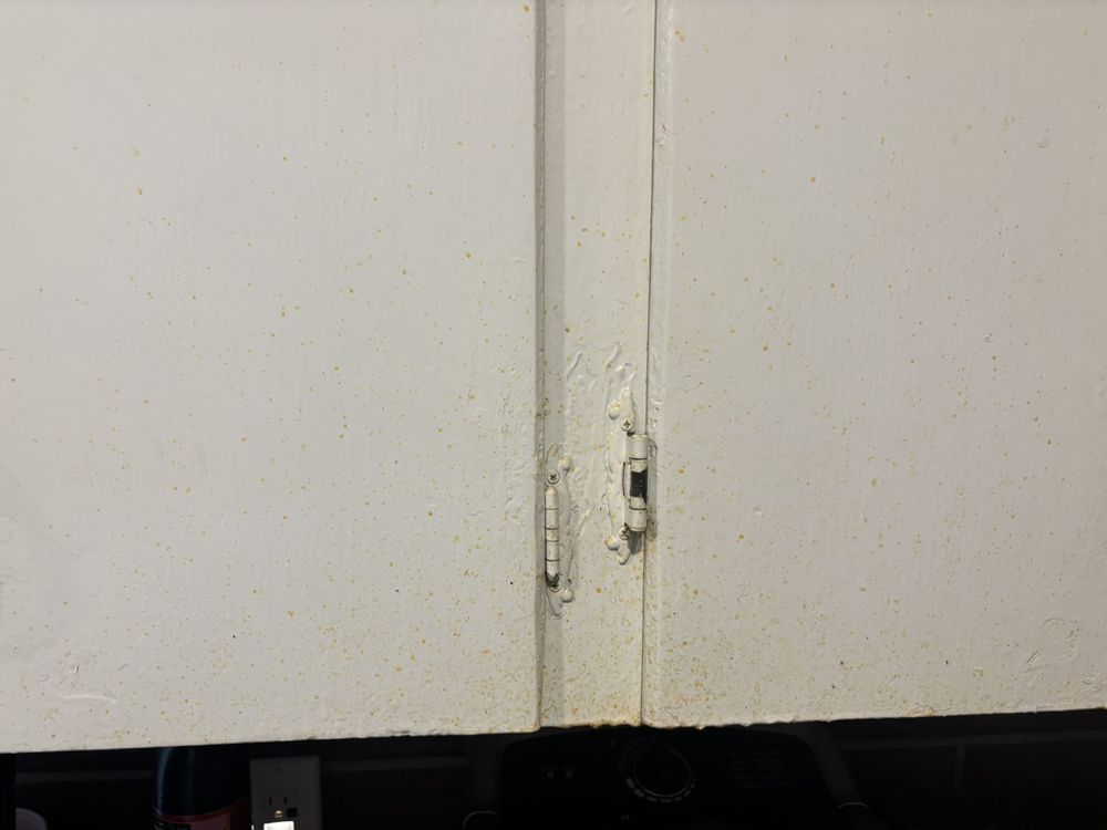 BizziBody Cleaning Service