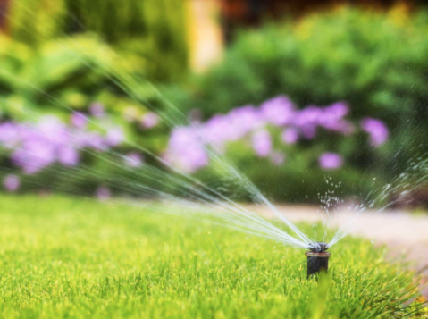 Xscapes Irrigation and Landscapes
