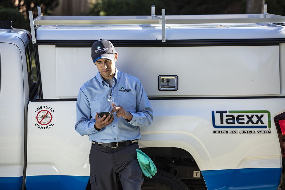 HomeTeam Pest Defense