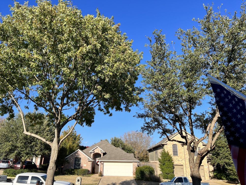 Lone Oak Tree And Fence Service