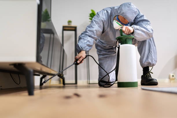 Rapid Pest Control Wylie