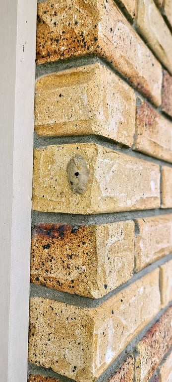 Kleberg Pest Control