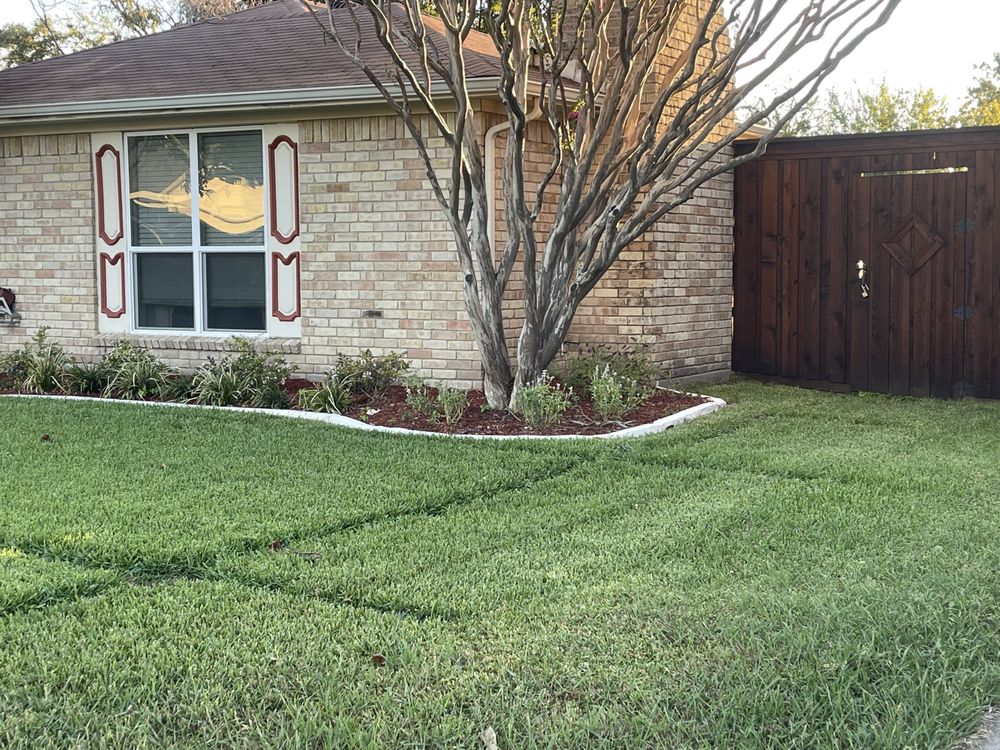 DFW Area Lawn Care