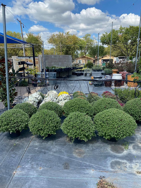 A & M Nursery & Supplies