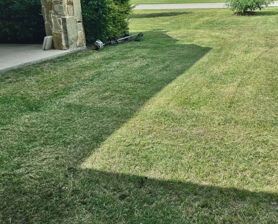 Dallas Mowing Solutions