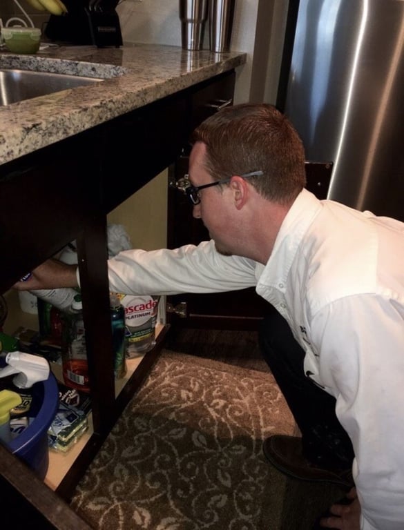 Big D Pest & Termite Services