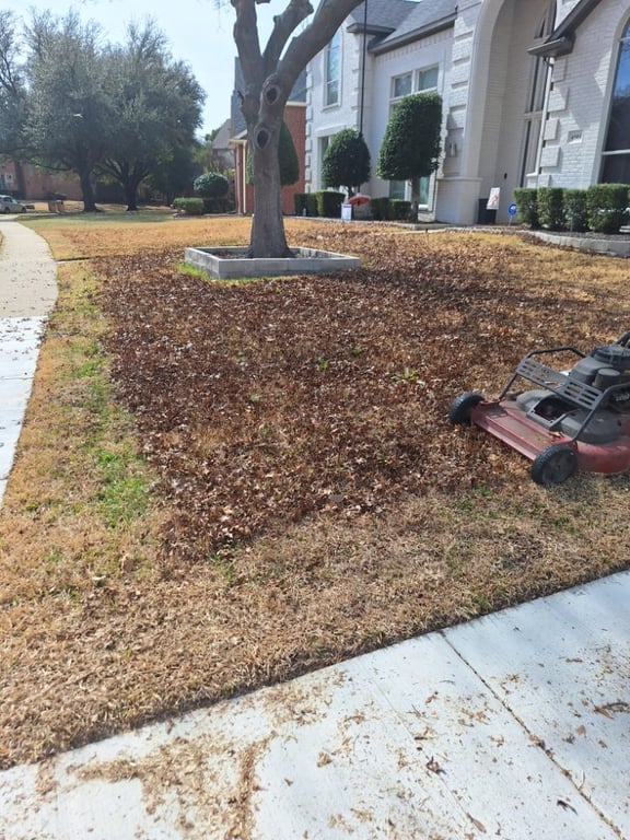 Jose Lawn Service