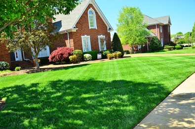 Mow Carrollton