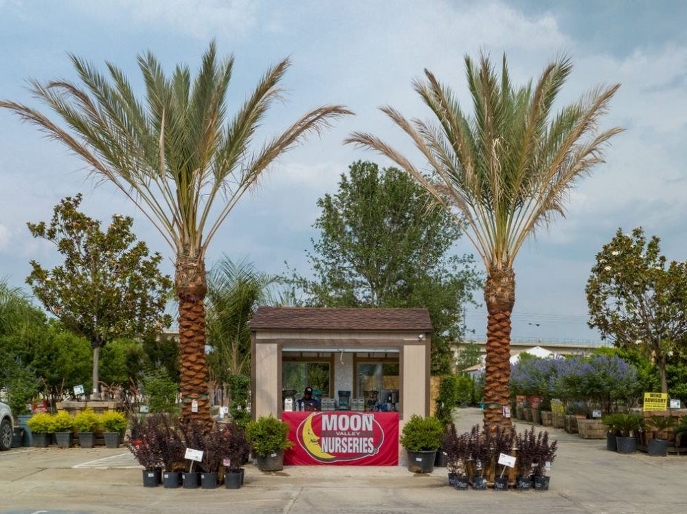 Moon Valley Nurseries