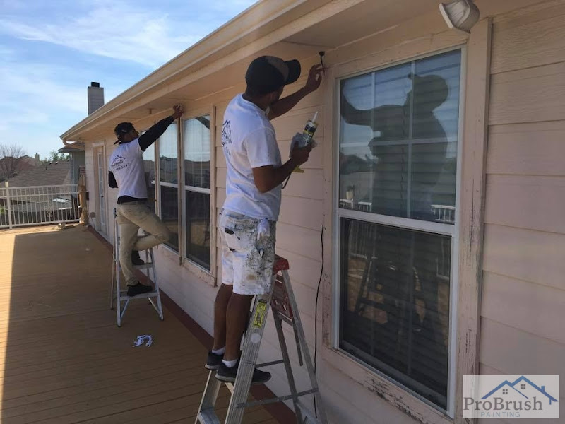 Pro Brush Painting And Remodeling